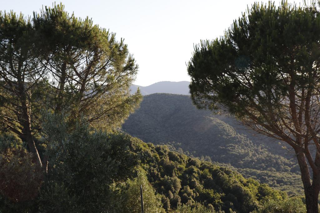 Buriano  Locanda Mossa Dei Barbari מראה חיצוני תמונה